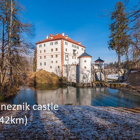 Tiny House With A Big Heart Villa Postojna Exteriör bild