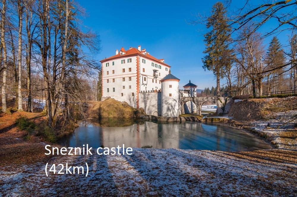 Tiny House With A Big Heart Villa Postojna Exteriör bild