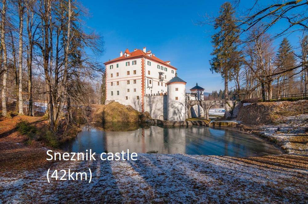 Tiny House With A Big Heart Villa Postojna Exteriör bild